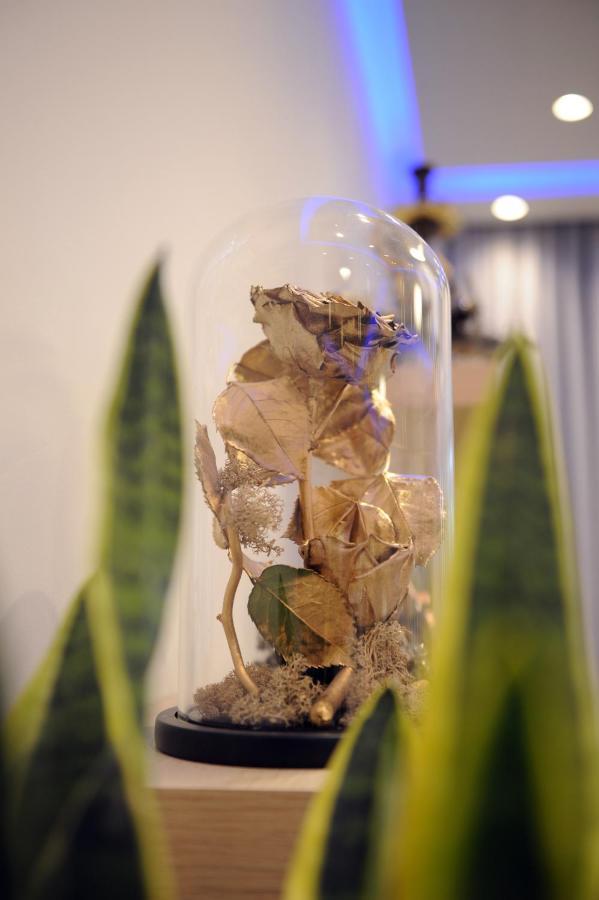 Apartmán Golden Rose Soluň Exteriér fotografie